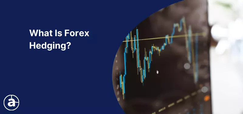 Forex Hedging: Meaning, Methods, Strategies